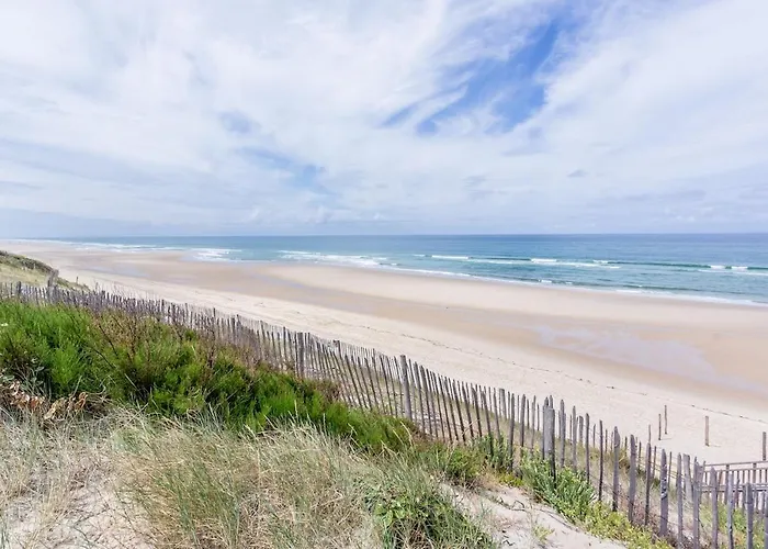 L'echassier Biscarrosse